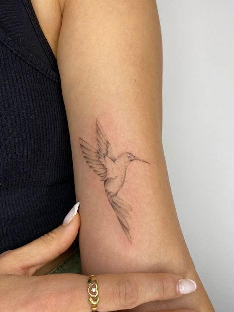 tattooideas tattoosforwomen tattoo hummingbirds hummingbirdtattoo tattoodesign finelinetattooing Single Point Tattoo, Bicep Bird Tattoo Women, Realism Fine Line Tattoo, Asthetic Tattoos Women Arm, Hummingbird Tattoo Inner Arm, Humming Bird Tattoo Placement, Animal Tatoos Woman, Fine Line Shading Tattoo, Dainty Hummingbird Tattoos For Women