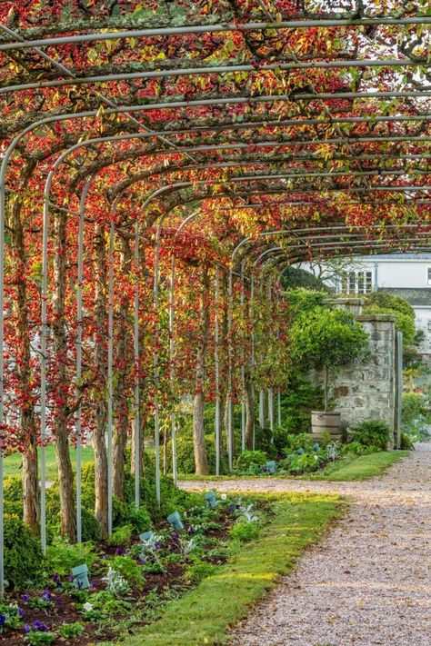 Stroll through Bunny Mellon’s Virginia Garden – Garden & Gun Diy Pathway, Bunny Mellon, Fantasy Garden, Estate Garden, Garden Arches, Stone Pathway, Farmhouse Garden, Garden Pathway, Horse Farms