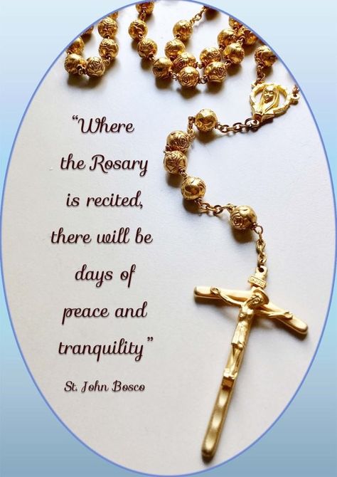 Mother Mary Quotes, Praying The Rosary Catholic, Rosary Quotes, Rosary Prayers, Rosary Prayers Catholic, Catholic Prayers Daily, Catholic Symbols, Saints Quotes, Catholic Education