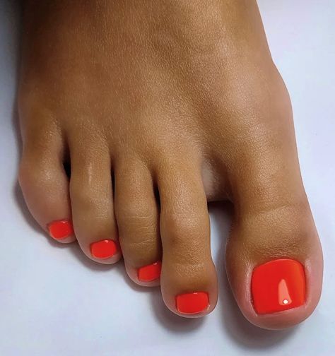 Coral Toe Nails Pedicures, Red Orange Pedicure, Orange Pedicure Toenails, Gel Toe Nails Summer Toenails, Red Pedicure Ideas, Orange Pedicure, Red Toe Nails, Orange Toes, Orange Toe Nails