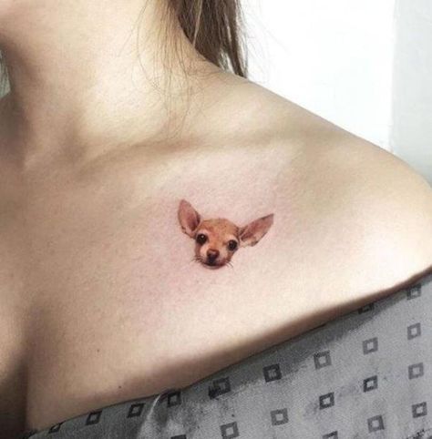 Chihuahua Tattoos, Cookie Tattoo, Chihuahua Tattoo, Best Tattoo Ever, Geniale Tattoos, Cute Chihuahua, Dog Tattoo, Chihuahua Dogs, Dog Tattoos