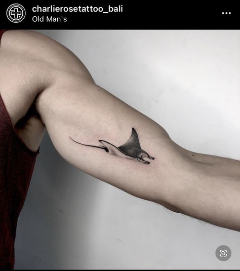 Manta Ray Tattoo Ankle, Shark Small Tattoo, Manta Ray Tattoo Men, Realistic Manta Ray Tattoo, Stingray Tattoo Men, Shark Tattoo Men, Manta Ray Tattoo Design, Stingray Tattoo Design, Eagle Ray Tattoo