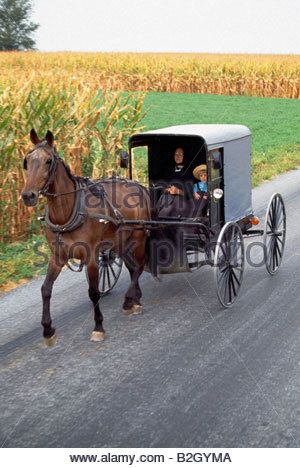 The Amish, or Plain People, in Pennsylvania's Lancaster County, still use horse drawn buggys for transportation - Stock Photo Paint Reference, Amish Buggy, Amish Lifestyle, Amish Culture, Amish Life, Plain People, Amish Community, Chuck Wagon, Horse And Buggy