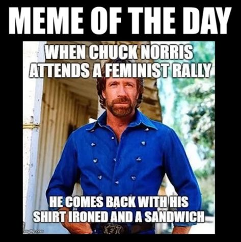 Chuck Norris Meme, Shepherd Quotes, Chuck Norris Memes, Chuck Norris Facts, Chuck Norris Jokes, Dad Jokes Funny, Dragon Knight, Warrior Quotes, Bar Art