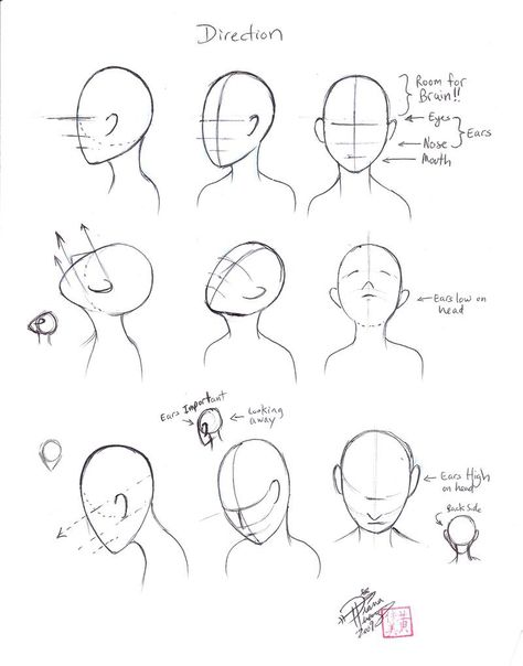 Draw Head, Draw Faces, Simple Exercise, Drawing Tutorial Face, Drawing Heads, Drawing Lessons, Drawing Base, The Head, Drawing Techniques