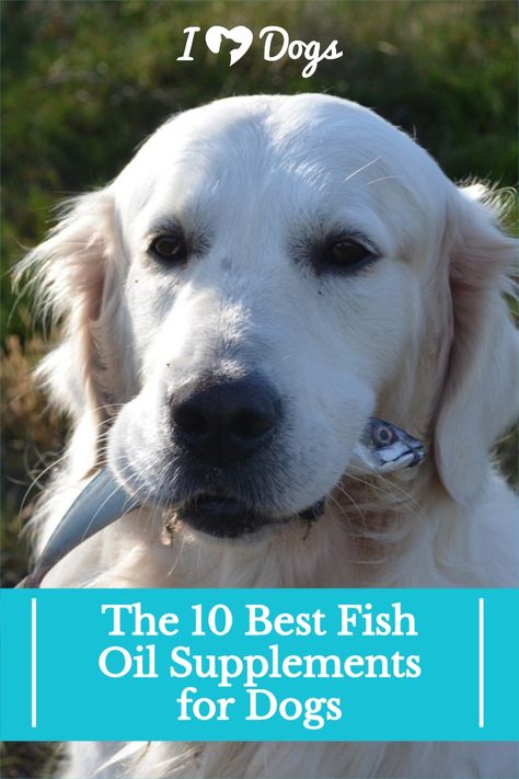 We've made choosing the best fish oil for dogs easy by compiling a list of the highest quality products made with best ingredients. Fish Oil For Dogs, Fish Oil Supplements, Fish Oil Benefits, Supplements For Dogs, Fish List, Alaskan Salmon, Oils For Dogs, Dog Training Techniques, Dog Supplements