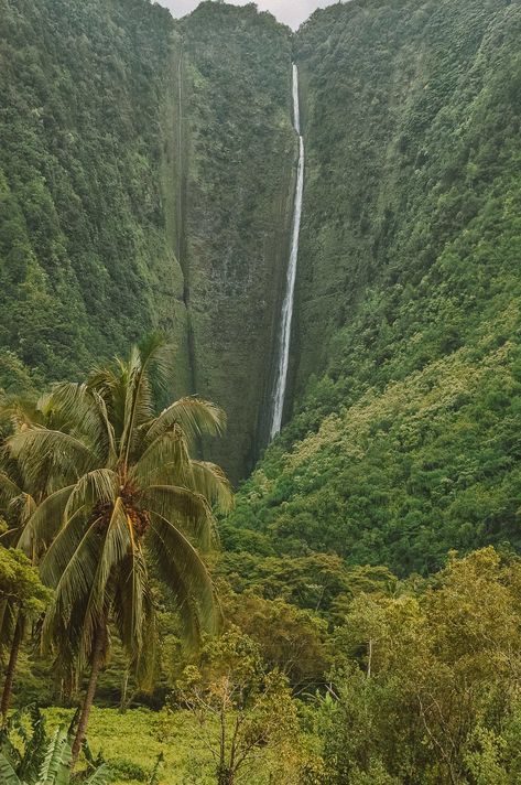 Best Hikes in Hawaii (15) Hikes In Hawaii, Greek Islands To Visit, Amalfi Coast Travel, Best Greek Islands, Corfu Island, Hawaii Volcanoes National Park, Visit Hawaii, Corfu Greece, Amalfi Coast Italy