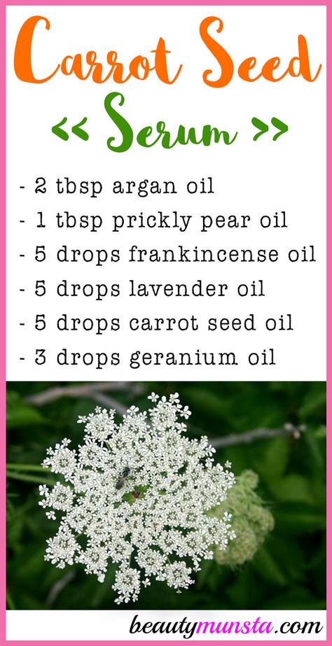 Face Serum Recipe, Diy Vitamin C Serum, Natural Beauty Hacks, Essential Oils For Face, Best Face Serum, Natural Beauty Treatments, Skin Care Routine For 20s, Anti Aging Face Serum, Carrot Seed Oil