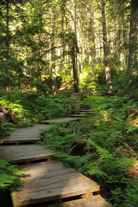 Revelstoke Bc, Wooden Path, Travel Spots, Alam Yang Indah, Canada Travel, Garden Paths, Walkway, Landscape Architecture, British Columbia