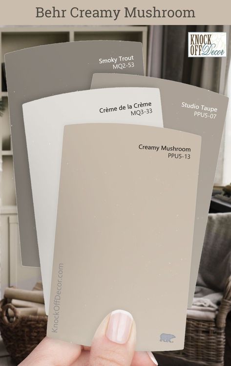 Behr Creamy Mushroom Review + My 30 Favorite Coordinating Color Palettes Check more at https://creativedecordesign.com/2024/06/28/behr-creamy-mushroom-review-my-30-favorite-coordinating-color-palettes/ Maybe Mushroom Paint Color, Creamy Grey Paint Colors Behr, Coordinating Interior Paint Colors, Cream Walls With Taupe Trim, Taupe Color Palettes Kitchen, White Taupe Paint Color, Light Taupe Color Palette, Beige Paint For Nursery, Mocha Light Behr Paint