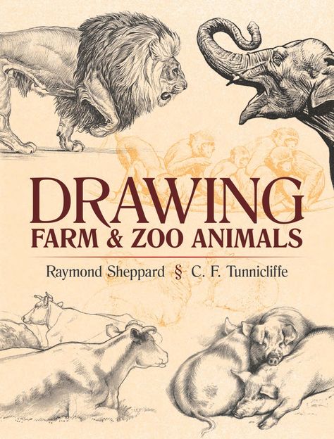 Draw Farm Animals, Animal Drawing Ideas, Drawing Farm, Dover Publications, Animal Study, Book Drawing, Learn Art, Art Instructions, The Zoo