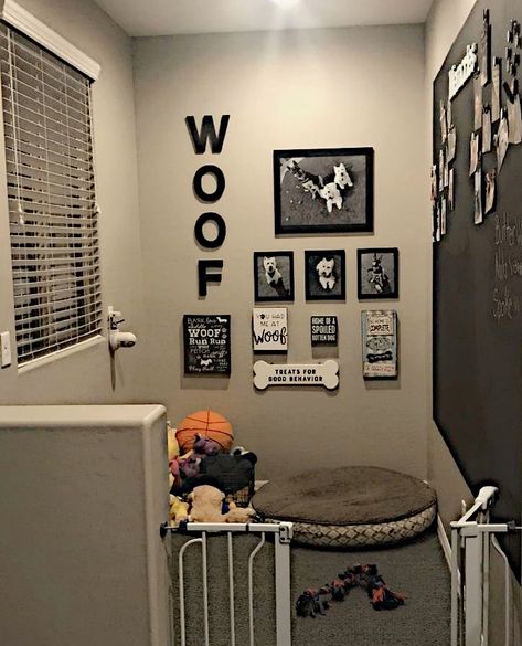 Dog Room Design, Dog Room Decor, Dog Bedroom, Puppy Room, Dog Corner, Dog Spaces, Baby Room Diy, Dog Room, First Apartment Decorating