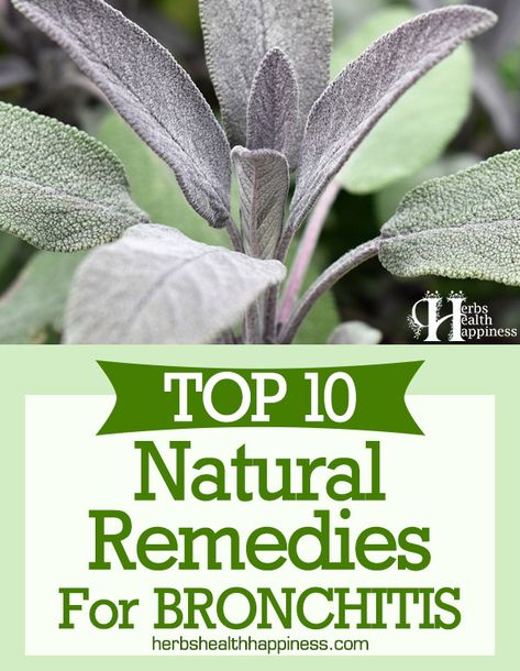 Natural Remedies For Bronchitis, Remedies For Bronchitis, Home Remedies For Bronchitis, Healing Remedies, Allergy Remedies, Health Ideas, Healing Plants, Net Top, Natural Antibiotics