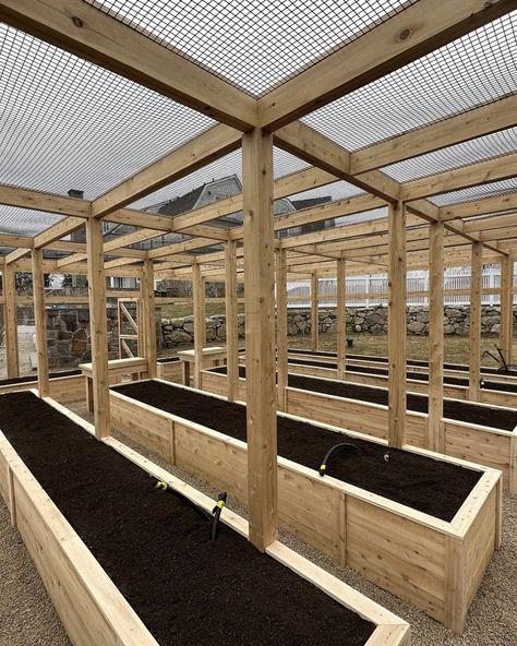 Enclosed Garden Structures, Enclosed Garden Beds, Backyard Raised Garden, Food Forest Garden, Enclosed Garden, Dream Backyard Garden, Backyard Garden Layout, Vegetable Garden Raised Beds, Backyard Greenhouse