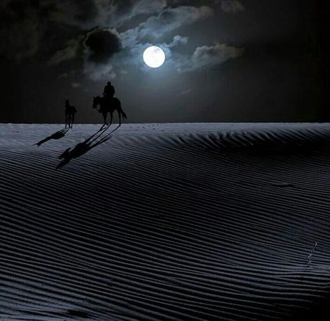 Desert inmoonlight Timur Tengah, Shoot The Moon, Moon Rise, Beautiful Moon, Arabian Nights, Ponies, Full Moon, Night Skies, The Moon