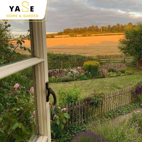 Start Your Day Right, Enjoy🌅 #home #garden #gardening #sun #sunset #goldenhour #summer #pretty #aesthetic #fyp #fypage Cottagecore Village, Mushroom Circle, Cottage House Designs, Yellow Walls, Scotland Travel, Summer Pictures, Nature Aesthetic, Ancient Cities, Nature Pictures