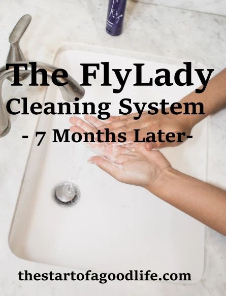 She Cleaning System, Flylady Routines Free Printable, Flylady Control Journal, Homemaking Hacks, Fly Lady Cleaning, Household Cleaning Schedule, Fly Lady, Cleaning Routines, Zone Cleaning