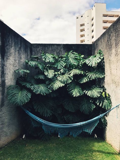 Upleafting Company From Insta Grammar: Green via @weheart Big Potted Plants, Urban Tree, Garden Paving, Coastal Interiors Design, Resort Design, Green With Envy, Wall Garden, City Garden, Table Books