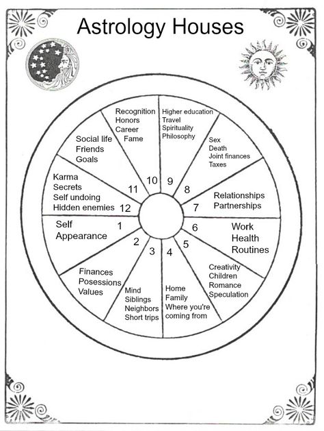 We're moving on to the astrological houses in this lesson of Star School. The 12 astrological houses represent different areas + experiences of your life. #astrology #StarSchool Astrological Houses, Astrology Houses, Numerology Calculation, Birth Chart Astrology, Learn Astrology, Tarot Astrology, Astrology Numerology, We're Moving, Astrology Chart