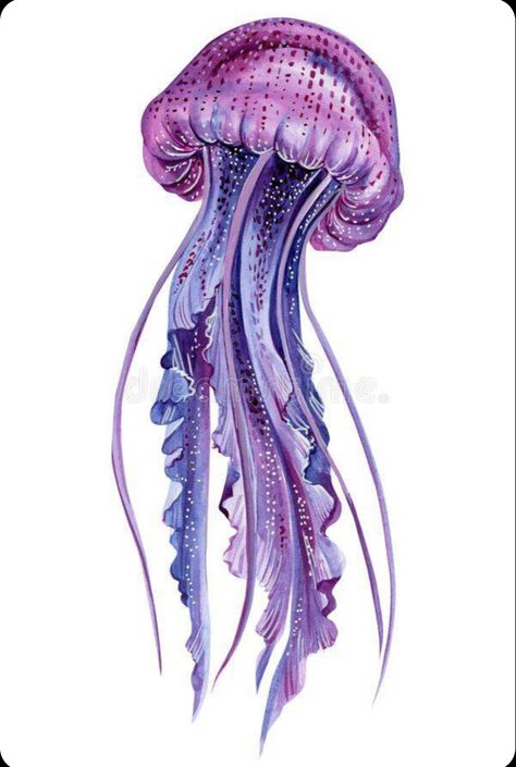 Purple Jellyfish, Jellyfish Drawing, Jellyfish Painting, Pink Jellyfish, Jellyfish Tattoo, Clever Tattoos, Jellyfish Art, Sea Life Art, Background Watercolor