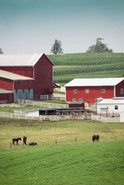 Old Farm Photography, American Countryside Aesthetic, Midwestern Aesthetic, Farm Picture, Farm View, Farm Landscaping, American Countryside, Farm Town, Amish Farm