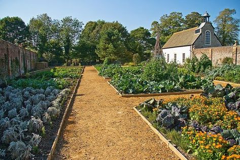 Avebury Manor and Gardens: Avebury Manor - Victorian Kitchen Garden Victorian Kitchen Garden, Avebury Manor, Slains Castle, Manor Kitchen, Medieval Garden, Flower Bed Borders, Walled Gardens, Kitchen Gardening, 2nd October