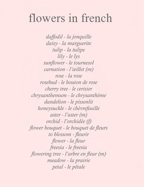 flowers in french Pretty French Words, Cricket Pictures, Flowers In French, Cute French Words, French Words With Meaning, Paris Quotes, Flower Shop Decor, French Names, Nature Words