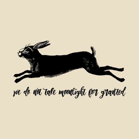 Kindle Quotes, Chalkboard Art Quotes, Hare Painting, Watership Down, Rabbit Tattoos, Black Rabbit, Font Illustration, Dark Soul, Rabbit Art