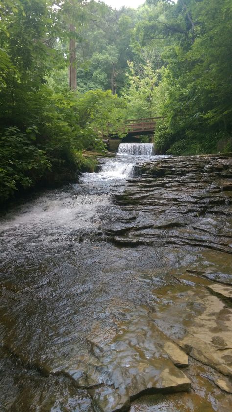 Saunders Springs Nature Preserve. Radcliff, Kentucky. Kentucky Aesthetic, Kentucky Photography, Kentucky Landscape Photography, Kentucky Nature, Kentucky Gothic, Natural Bridge State Park Kentucky, Beauty Places, My Old Kentucky Home, Spring Nature