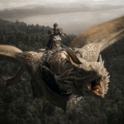 Aegon Aesthetic, Game Of Thrones Dragon Aesthetic, Aegon Targaryen Aesthetic, House Of The Dragon Sunfyre, Aegon Ii Targaryen Aesthetic, Morning Dragon Asoiaf, Drogon Burning The Iron Throne, Drogon Viserion Rhaegal, Aegon Ii Targaryen