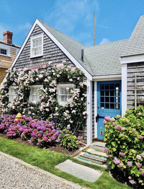 Coastal Curb Appeal, East Coast Preppy, Cod Aesthetic, Cape Cod Aesthetic, East Coast Aesthetic, England Houses, Nantucket Style Homes, Costal Granddaughter, Grandmother Aesthetic