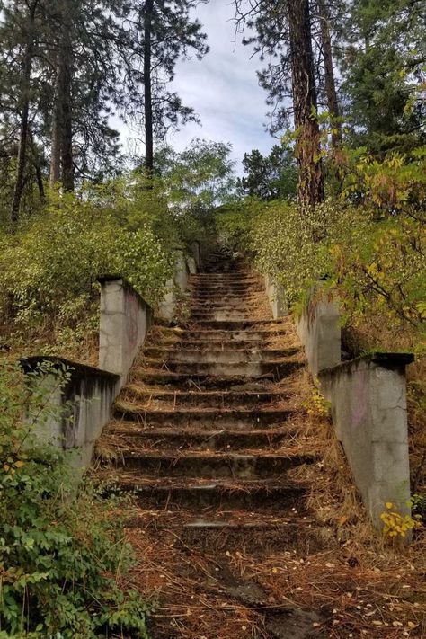 Greenwood haunted staircase/Thousand Steps Haunted Places In Iowa, Greenwood Furnace State Park, Eerie Indiana, Abandoned Sanitarium, Greenwood Cemetery, Historical Place, Washington Dc, Historical Sites, Cemetery