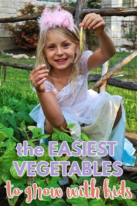 Easiest Vegetables To Grow, Veggies To Grow, Easy Vegetables, Veggie Gardens, First Garden, Vegetables To Grow, Easy Vegetables To Grow, Eating Fresh, Best Vegetables