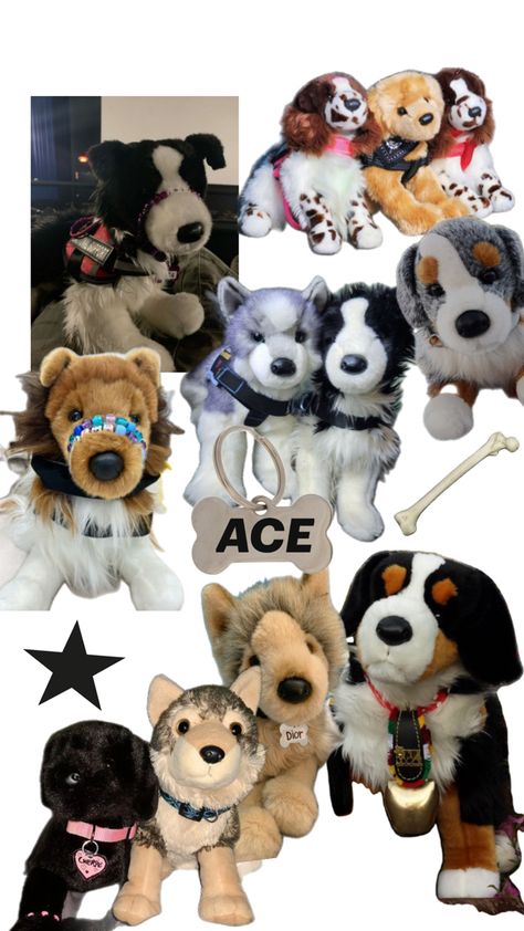 Essa Dog, Douglas Dog, Stuffed Dogs, Bug Juice, Therian Stuff, Emotional Support Dog, Support Dog, Emotional Support Animal, Dog Stuffed Animal