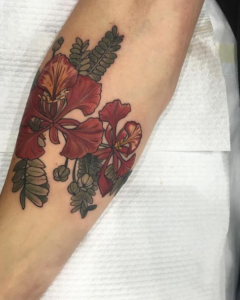 See this Instagram photo by @sophiabaughan • 1,568 likes Poinciana Tattoo, Botanical Tattoo Sleeve, Lady Bug Tattoo, Bug Tattoo, Science Illustration, Botanical Tattoo, Style Tattoo, E Tattoo, Artist Portfolio