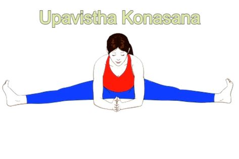 Benefits of Upavistha Konasana, How to do it and Caution - Health Tips Upavistha Konasana, Seated Forward Bend, Lower Body Fat, Yoga Trainer, Forward Bend, Yoga Guru, Sanskrit Words, Serious Illness, Best Health