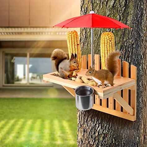 Chipmunk Feeder, Squirrel Picnic Table Feeder, Squirrel Feeder Diy, Squirrel Picnic Table, Diy Popsicles, Diy Picnic Table, Squirrel Feeders, Squirrel Feeder, Squirrel Funny