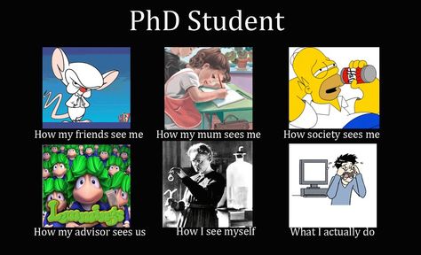 Phd Quotes Funny So True, Phd Quote, Graduate School Humor, Grad School Problems, Dissertation Motivation, Phd Comics, Phd Humor, Phd Life, College Quotes