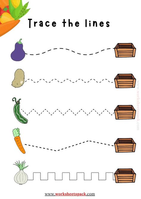 Animal Heads Tracing Lines Worksheets for 3 year olds - worksheetspack Tracing Vegetables Worksheet, Broccoli Activities For Preschool, Vegetables Worksheets Preschool, Vegetables Worksheets Kindergarten, Vegetable Worksheets Preschool, Line Tracing Worksheets Free Printables, Vegetable Activities For Preschool, Vegetables Worksheets For Kids, Vegetables Activities For Preschool