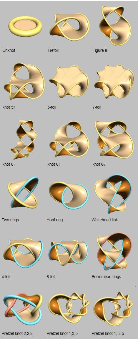 Topological Architecture, Parametric Sculpture, Tanah Liat, Jewelry Illustration, Jewelry Design Drawing, Parametric Design, Math Art, Geometry Art, Arte Inspo