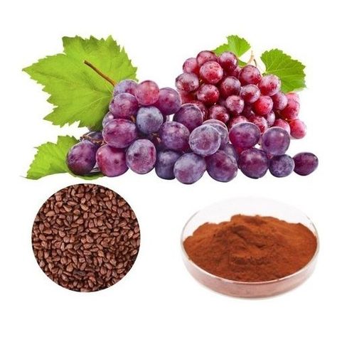 Grape Seed Extract Powder Manufacturing Plant Cost Report 2024 | Machinery Requirements and Setup Layout Home Made Remedies, For Brightening Skin, Plant Setup, Project Report, Home Remedies For Skin, Brightening Skin, Plant Projects, Manufacturing Plant, Grape Seed Extract