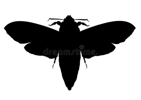 Moth silhouette. This is symbol of moth #Sponsored , #Sponsored, #advertisement, #Moth, #symbol, #moth, #silhouette Moth Stencil, Moth Silhouette, Moth Illustration, Movie Posters Design, Art Inspiration Painting, Painted Rocks, Moth, Stock Illustration, Poster Design