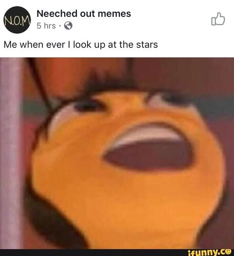 8 Me when ever I look up at the stars – popular memes on the site iFunny.co #photography #artcreative #10at10 #alternatefeature #alternatefeatures #features #me #ever #look #stars #pic Bee Movie, Memes Xd, Bts Memes, Funny Things, Funny Stuff, Random Stuff, Funny Memes, Bts, Humor