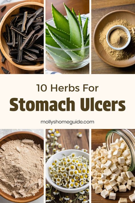 Explore the power of herbal remedies for stomach ulcers with these healing foods and plants. Incorporate Slippery Elm and Gotu Kola into your diet to promote digestive health and soothe gastric ulcers naturally. These anti-inflammatory herbs are among the best for gut health, offering relief from stomach aches and supporting overall well-being. Embrace a stomach ulcer diet rich in healing herbs to improve your digestive system and enhance your overall wellness holistically. How To Heal An Ulcer Naturally, Herbs For Stomach, Remedies For Stomach Ulcers, Stomach Soothing Foods, Ulcer Diet, Cabbage Juice, Health Facts Food, Healing Foods, Stomach Ulcers