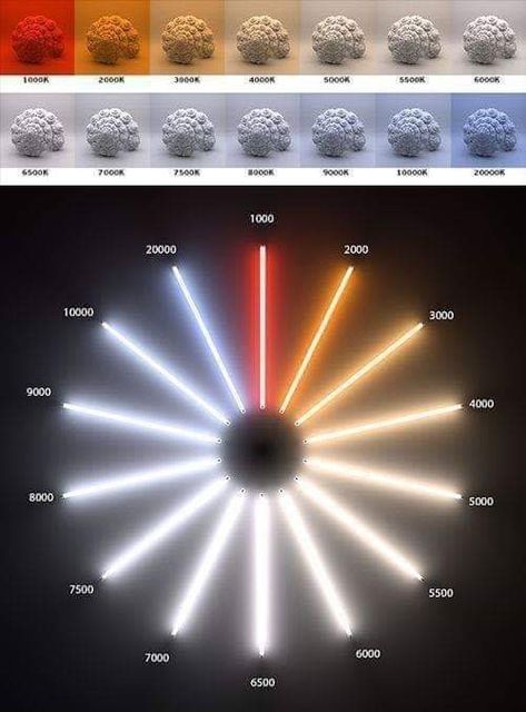 Colour Temperature Lighting, Blender Lighting, Strip Lighting Ideas, Vray Tutorials, Arnold Render, 3ds Max Tutorials, Deco Luminaire, Blender Tutorial, Lighting Concepts