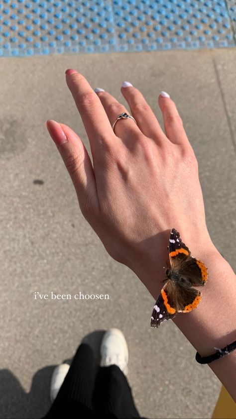 Caption For Butterfly Photo, Spring Story Ideas, Butterfly Instagram Story, Spring Instagram Story Ideas, Spring Ig Story, Butterfly Captions Instagram, Spring Insta Story, Nails Story Instagram Ideas, Cool Instagram Stories