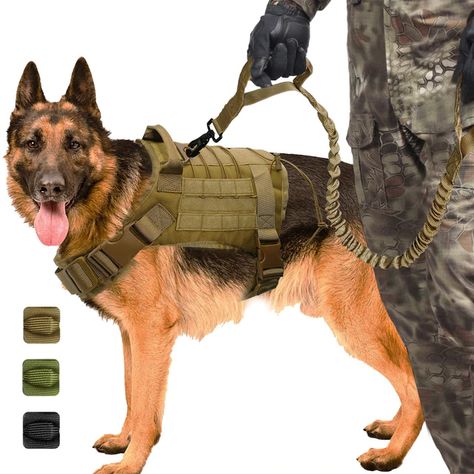 Táctico militar perro arnés K9 trabajo Chaleco de perro de Nylon elástica Correa plomo formación corriendo por medio de perros pastor alemán Tactical Harness, Pitbull Boxer, Large Dog Harness, German Shepherd Photos, Tactical Dog Harness, German Shepherd Pictures, K9 Dogs, K9 Training, Dog Leash Training