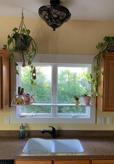 Kitchen Cabinet Plants Above, Shelf In Front Of Window, Kitchen Window Plants Ideas, Plants Above Kitchen Cabinets, Shelf Above Kitchen Sink, Window Sill Plant Shelf, Kitchen Window Sill Ideas, Kitchen Window Plants, Kitchen Window Shelf