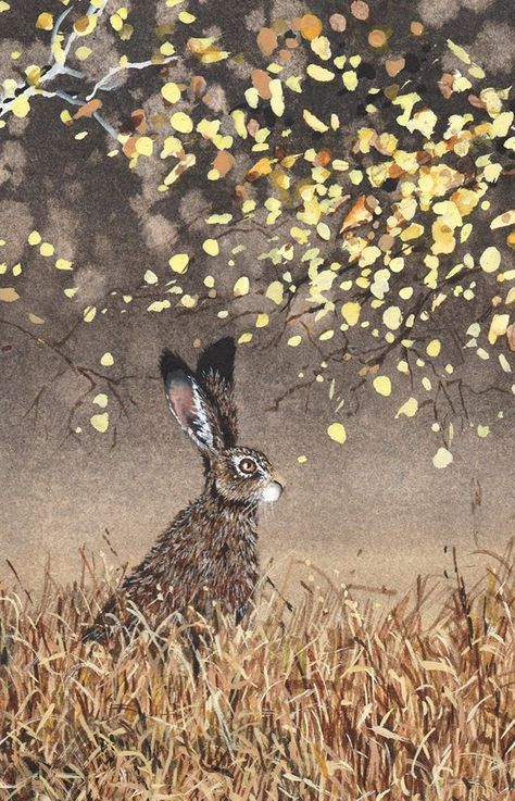 Maggie Vandewalle  —   (617x960) Autumn Rabbit, Maggie Vandewalle, Magick Art, Diy Paint By Numbers, Easy Diy Paint, Relaxing Night, Best Paint, White Rabbits, Book Illustration Art