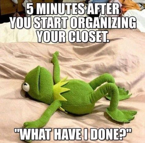 House Cleaning Humor, Kermit Funny, Homemaking Tips, Kermit The Frog, Funny Cartoon Quotes, Cartoon Quotes, Sarcastic Quotes Funny, Sarcasm Humor, The Frog